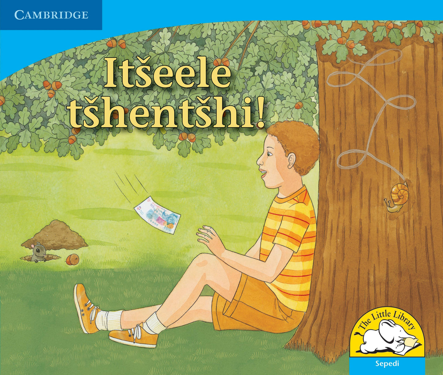 Itseele tshentshi! ISBN/SKU: 9780521723114