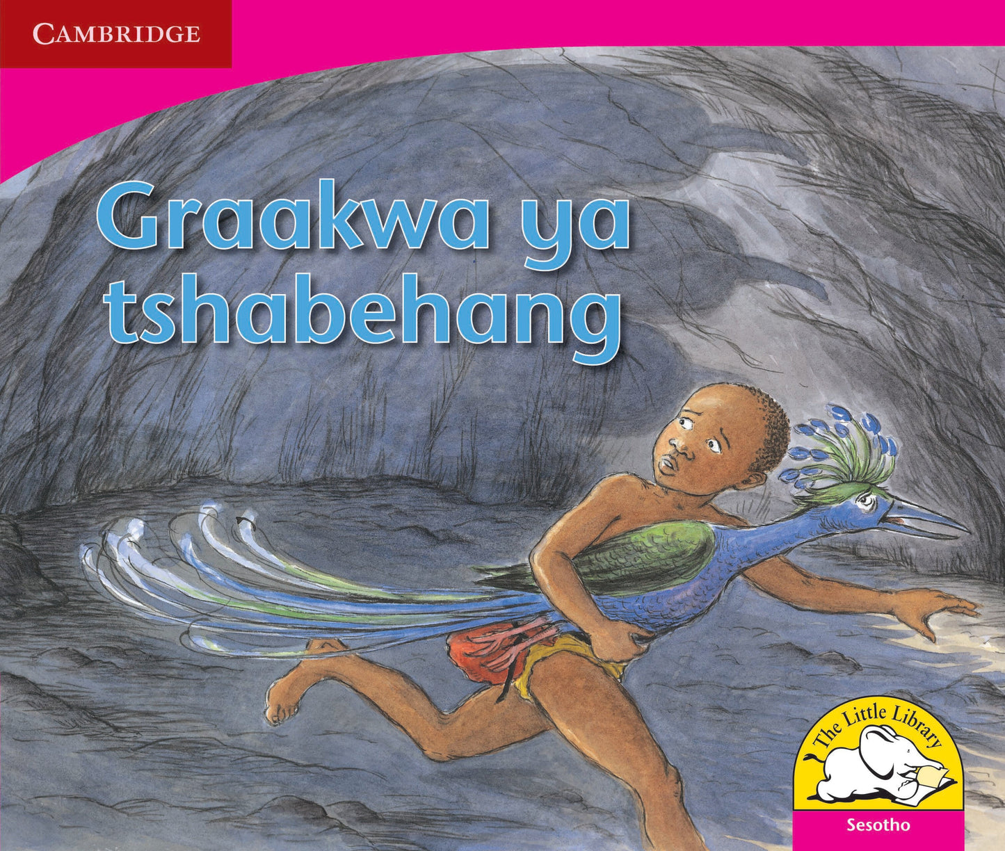 Graakwa ya tshabehang ISBN/SKU: 9780521724708