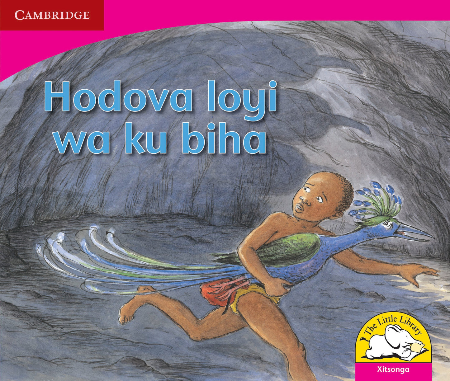 Hodova loyi wa ku biha ISBN/SKU: 9780521724746