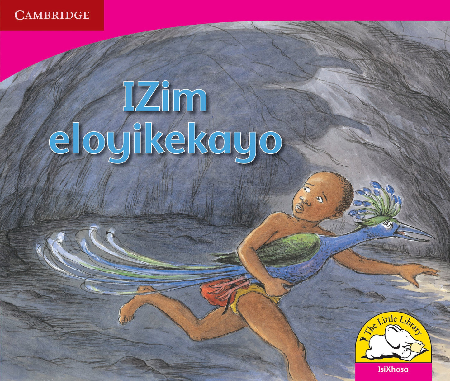 IZim eloyikekayo ISBN/SKU: 9780521724760