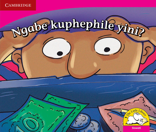 Ngabe kuphephile yini? ISBN/SKU: 9780521725118