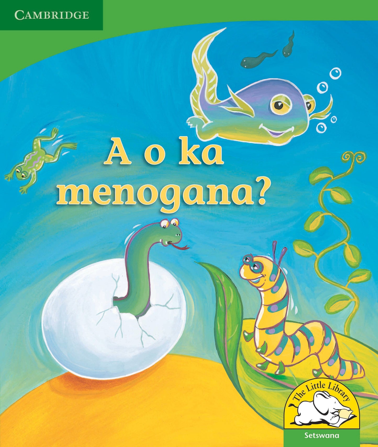 A o ka menogana? ISBN/SKU: 9780521726238