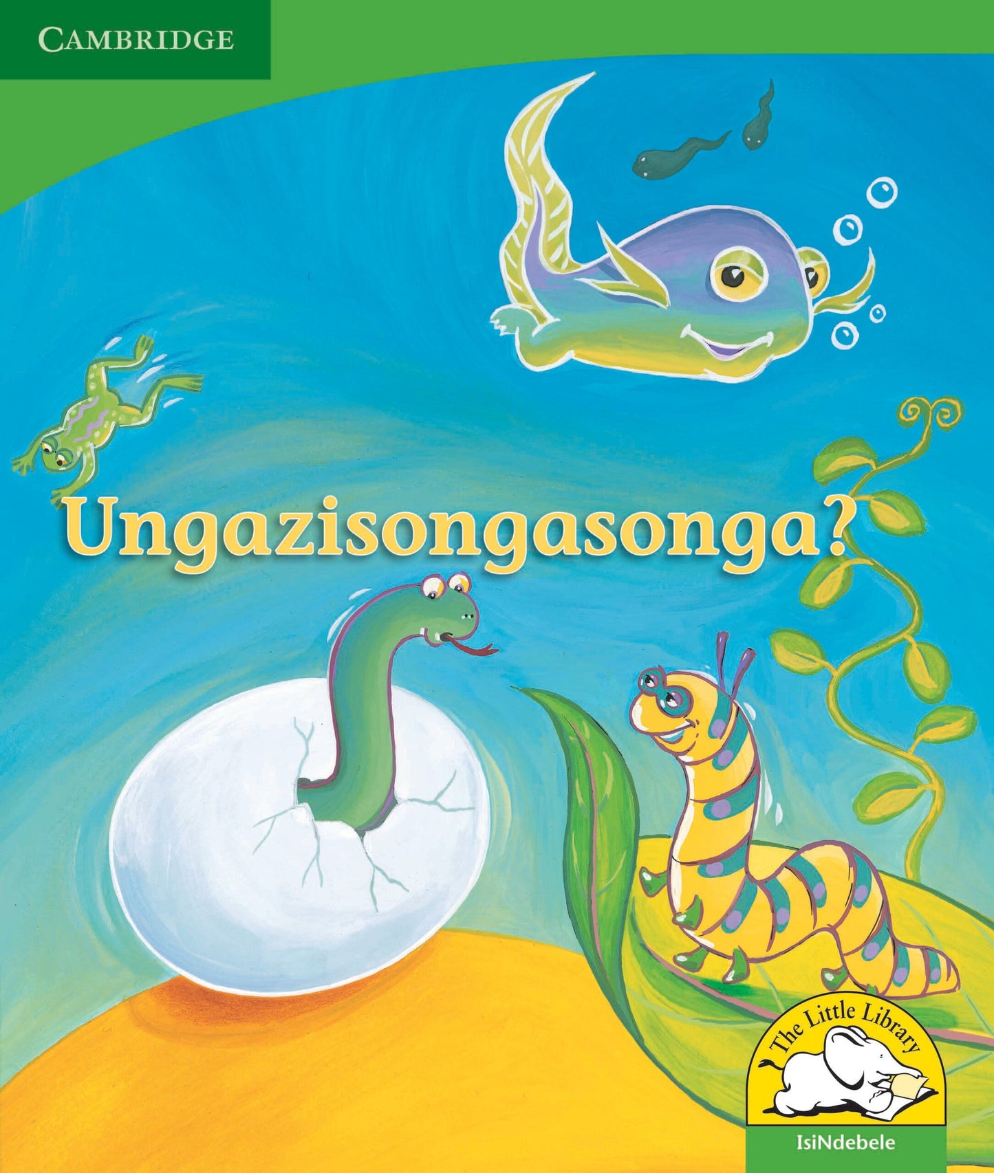 Ungazisongasonga? ISBN/SKU: 9780521726269