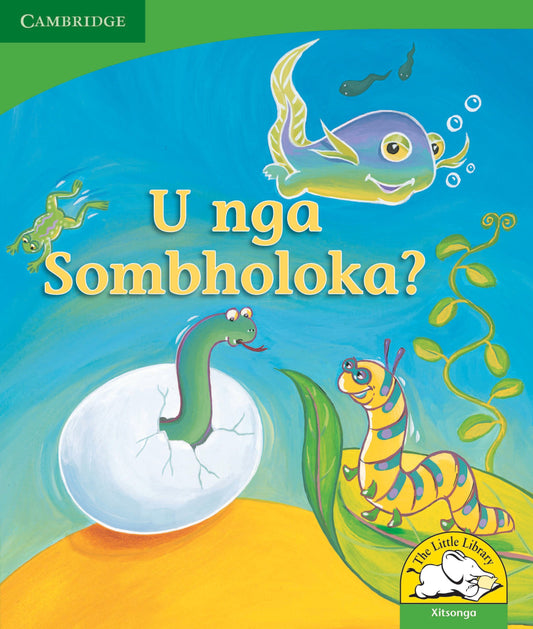 U nga sombholoka? ISBN/SKU: 9780521726283