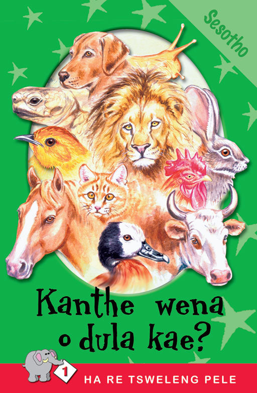 Ha Re Tsweleng Pele Series: Level 1 Book 2: Kanthe Wena O . ISBN/SKU: 9780796017567
