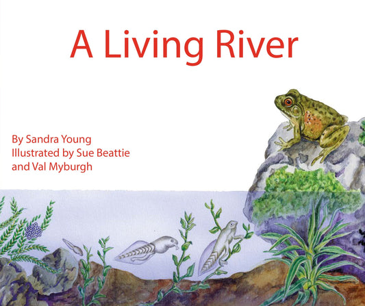 Jumbo Information Reader: Red - A Living River ISBN/SKU: 9780796024022