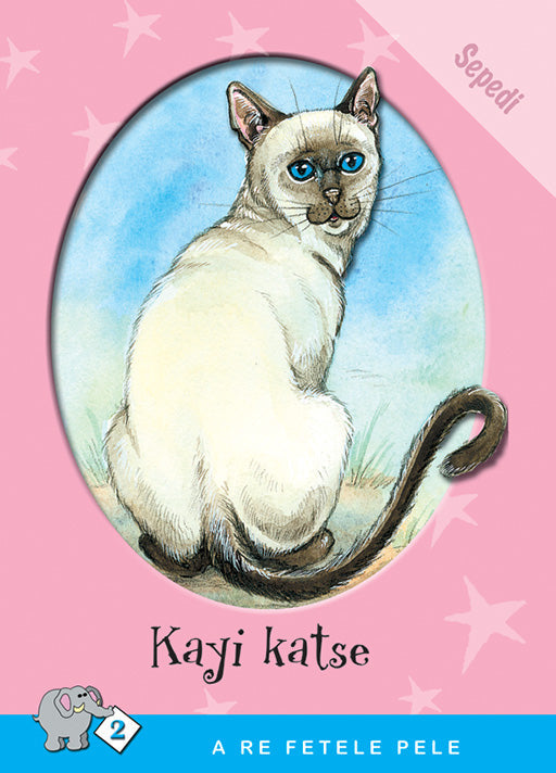 A Re Fetele Pele Series: Level 2 Book 4: Kayi Katse ISBN/SKU: 9780796028884