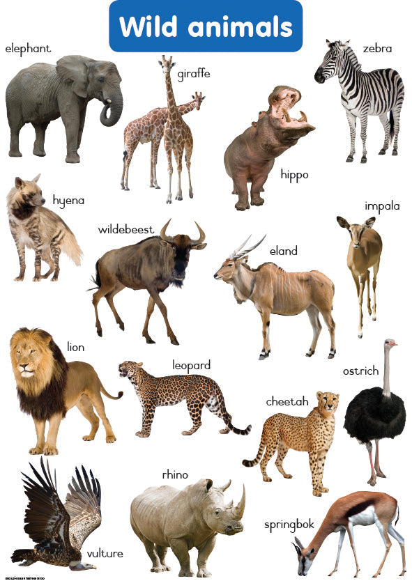 Chart: Shuters Hand In Hand Gr R: Wild Animals A2 ISBN/SKU: 9780796075130