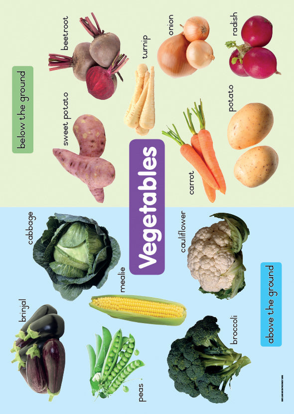 Chart: Shuters Hand In Hand Gr R: Vegetables A2 ISBN/SKU: 9780796075185