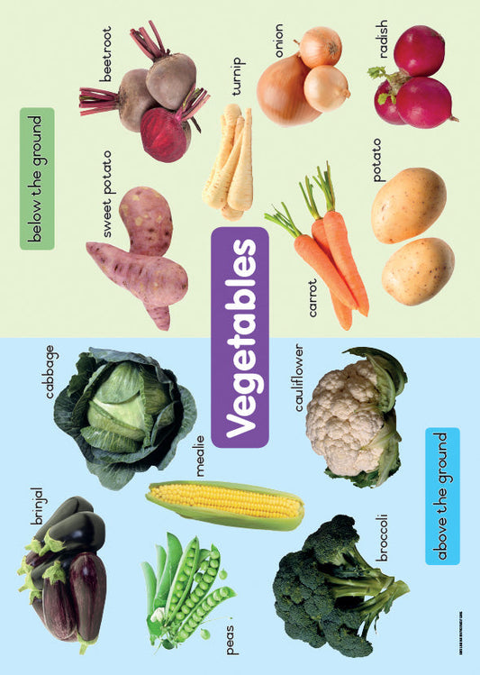 Chart: Shuters Hand In Hand Gr R: Vegetables A2 ISBN/SKU: 9780796075185