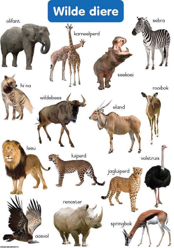 Chart: Shuters Hand In Hand Gr R Afrik: Wilde Diere A2 ISBN/SKU: 9780796077110