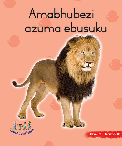 Hand In Hand Grade R (Ndebele) Picture Bk Level 2 Bk 10 ISBN/SKU: 9780796078636