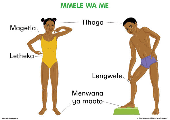 Chart: Junior Setswana Our Bodies A2 ISBN/SKU: 9781920336707