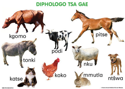 Chart: Junior Setswana Animals - Domestic A2 ISBN/SKU: 9781920336745