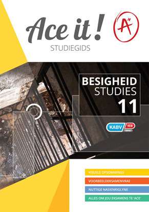 Ace it! Besigheidstudies Graad 11 (Afrik) ISBN/SKU: 9781920356668