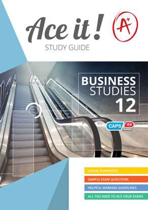 Ace It! Business Studies Grade 12 ISBN/SKU: 9781920356675
