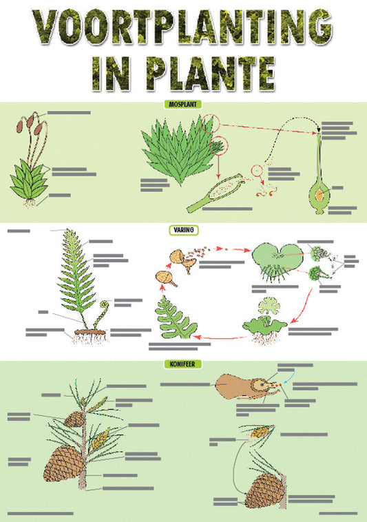 Chart: Voorplanting In Plante A2 ISBN/SKU: 9781920586058