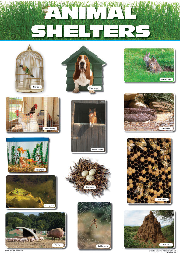 Chart: Animal Shelters A2 (Flat) ISBN/SKU: 9781920586188
