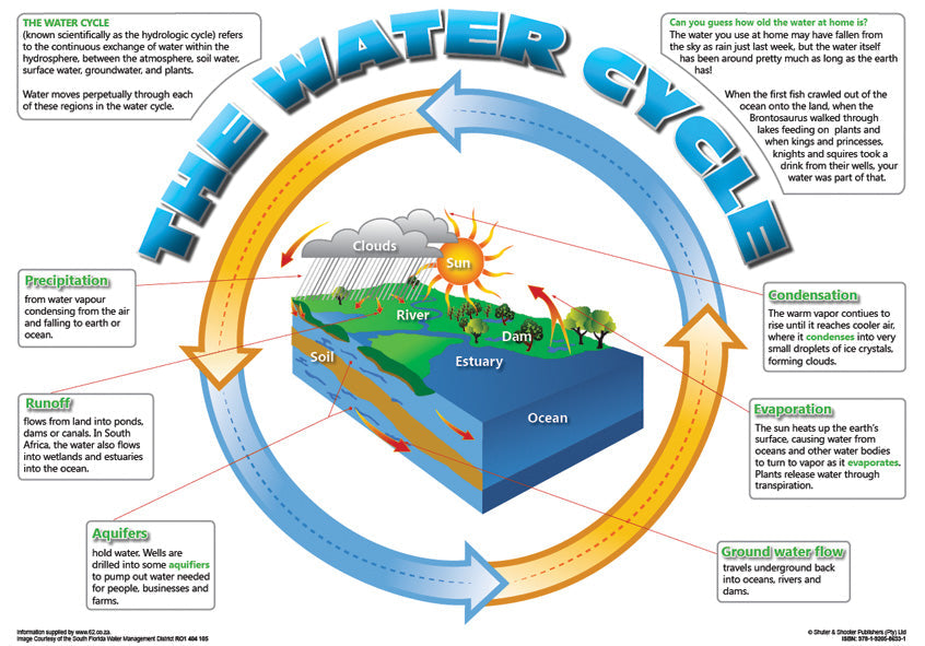 Chart: The Water Cycle (English) A2 ISBN/SKU: 9781920586331