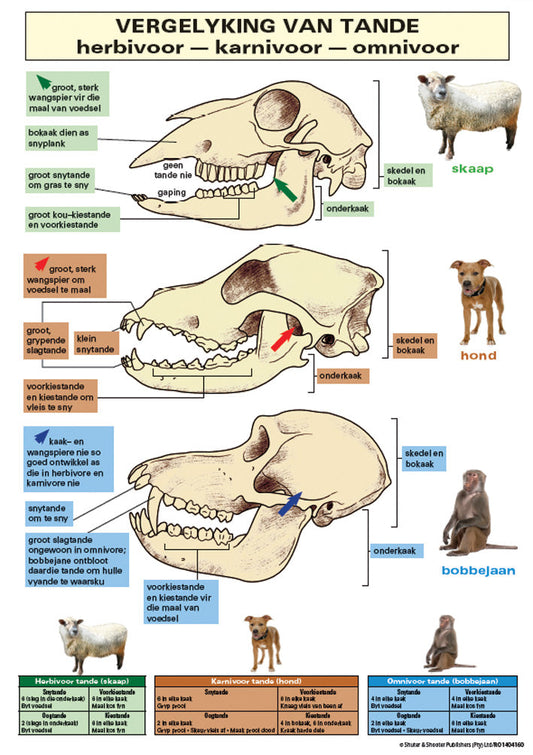 Chart: Vergelyking Tande A1 ISBN/SKU: 9781920615055