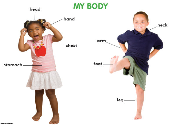Chart: My Body - Starter Version (A2) ISBN/SKU: 9781920615352