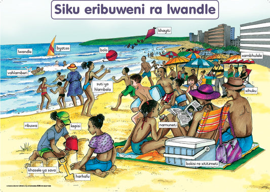 Chart: A Day At The Beach Xitsonga A2 ISBN/SKU: 9781928271550