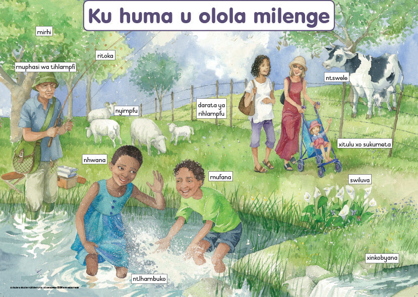 Chart: Out For A Walk Xitsonga A2 ISBN/SKU: 9781928271635
