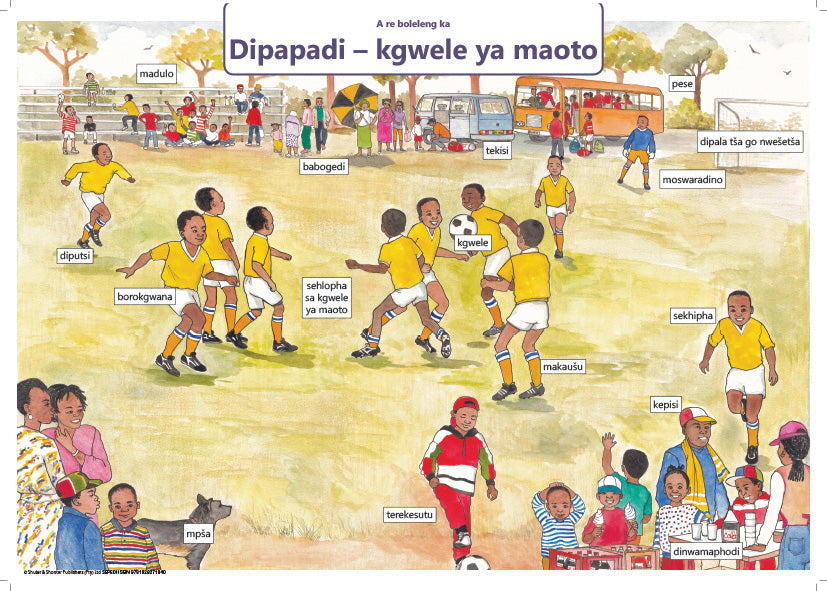 Chart: Lets Talk About Sport - Soccer Sepedi A2 ISBN/SKU: 9781928271840