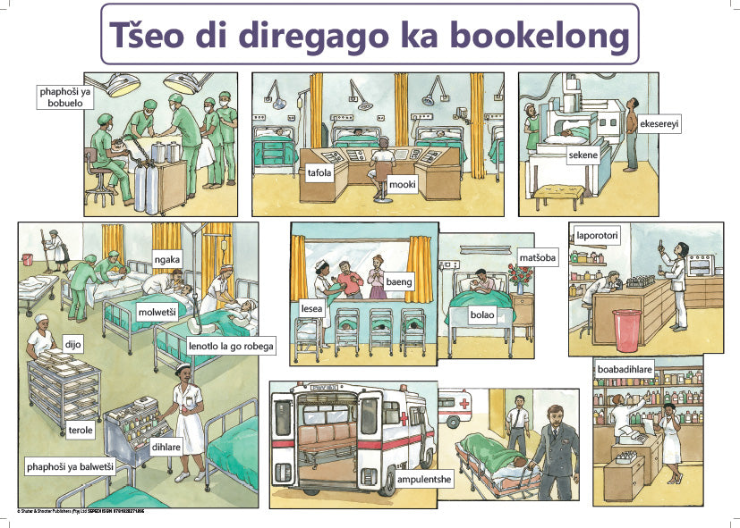 Chart: What Happens In A Hospital Sepedi A2 ISBN/SKU: 9781928271895