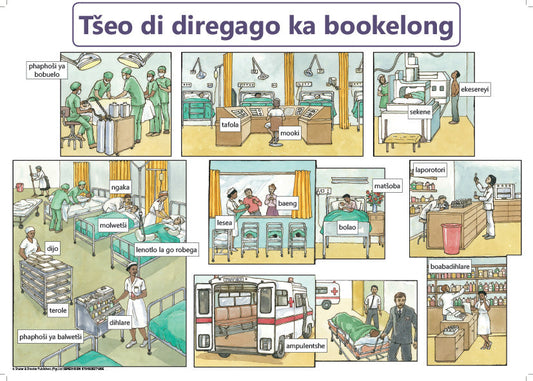 Chart: What Happens In A Hospital Sepedi A2 ISBN/SKU: 9781928271895