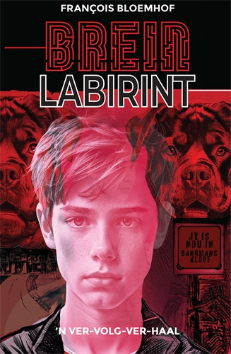 Breinlabirint ISBN/SKU: 9780637008006